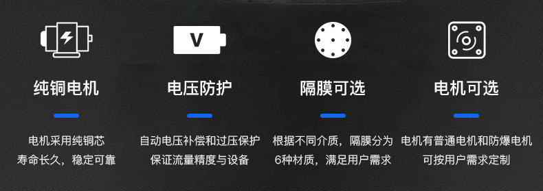 龍洋電動隔膜泵優(yōu)勢所在 龍洋電動隔膜泵優(yōu)勢所在