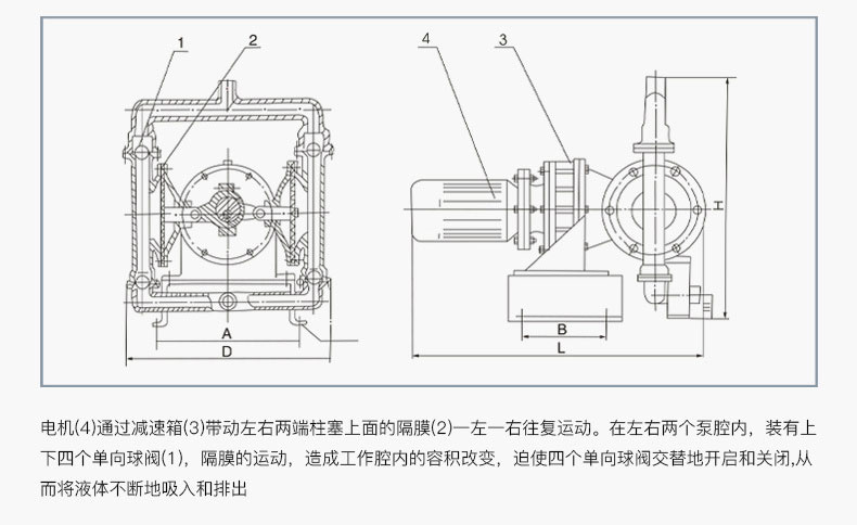 DBY電動隔膜泵工作原理 DBY電動隔膜泵工作原理