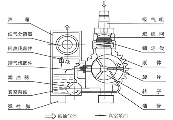XD單級(jí)旋片式真空泵結(jié)構(gòu)圖 XD單級(jí)旋片式真空泵結(jié)構(gòu)圖